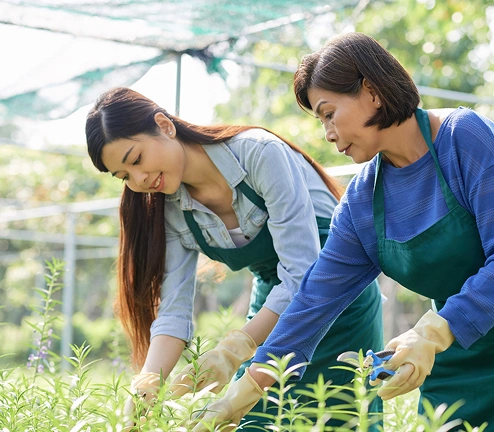 Images representing various business industries