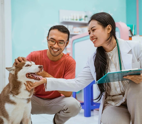 Images representing various business industries